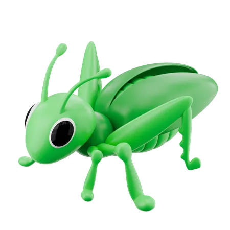 Sauterelle  3D Icon