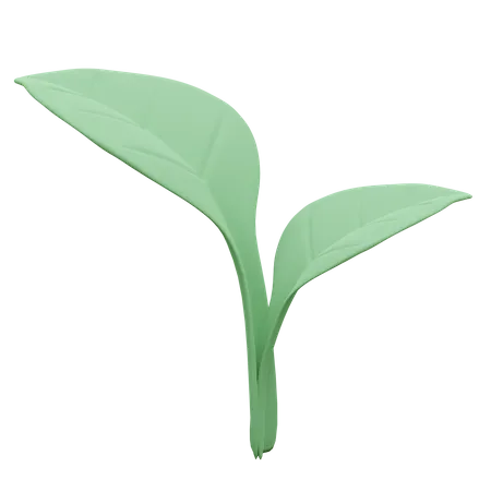 Eco Tree Plant A Tree 3 D Icon Illustration 3D Icon