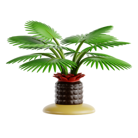 Saw Palmetto  3D Icon