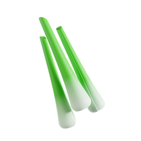 Scallion  3D Icon