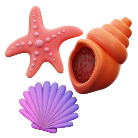 Scallop Snail And Star Fish  3D Icon