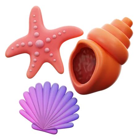 Scallop Snail And Star Fish  3D Icon