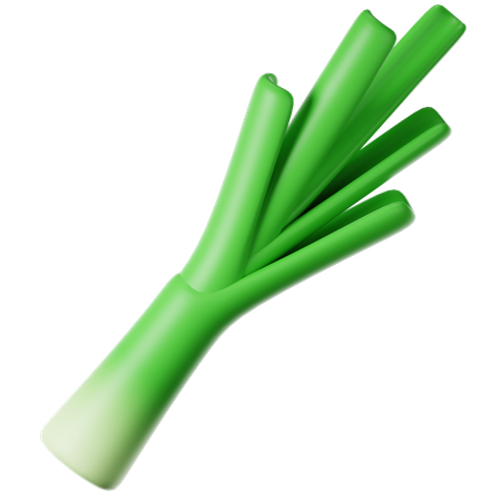 Schien  3D Icon