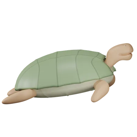 Schildkröte  3D Illustration