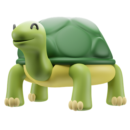 Schildkröte  3D Illustration