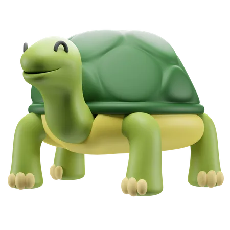 Schildkröte  3D Illustration