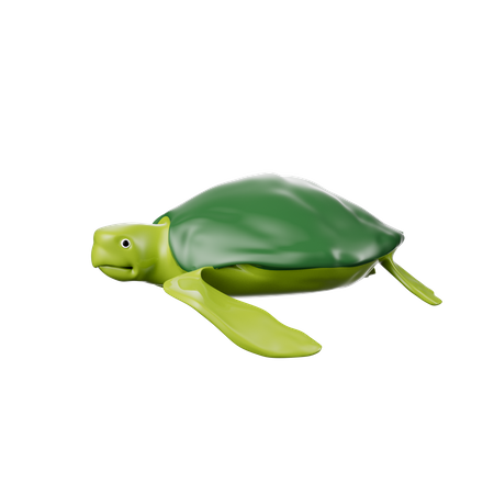 Schildkröte  3D Icon
