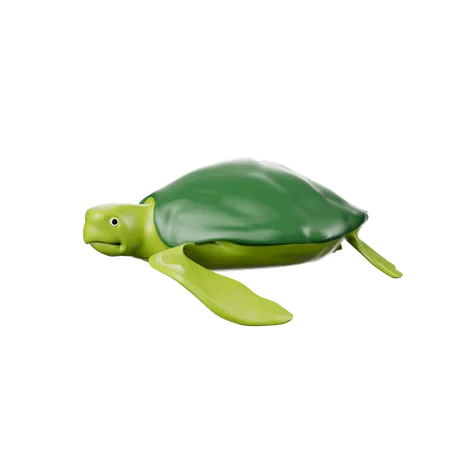 Schildkröte  3D Icon