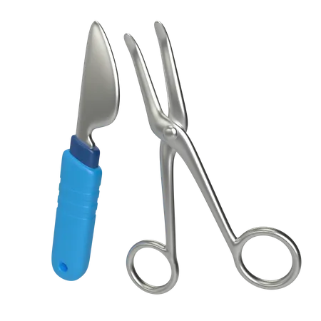 Scissor And Scalpel  3D Illustration