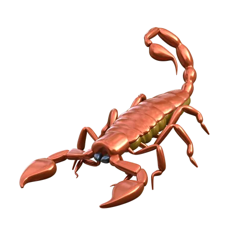 Scorpio 3 D Insect Illustration 3D Icon
