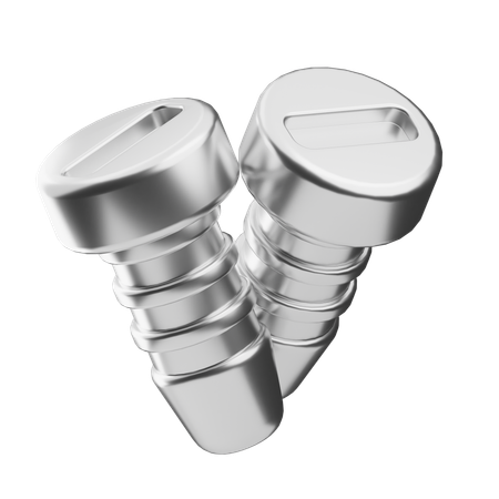 Screws  3D Icon