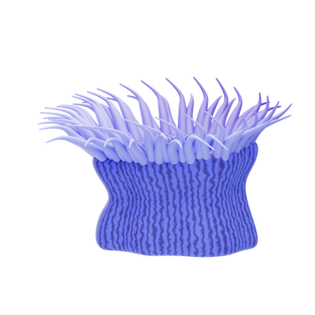 Sea Anemone  3D Icon