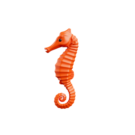 Sea Horse  3D Icon