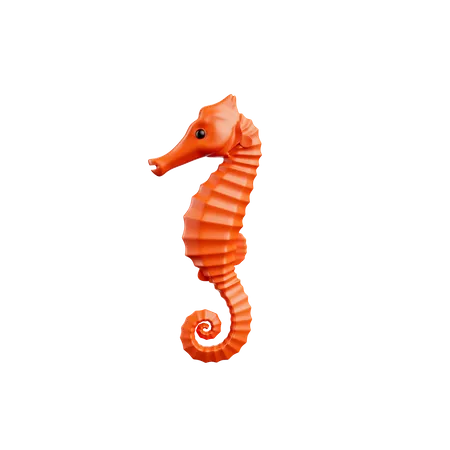 Sea Horse  3D Icon