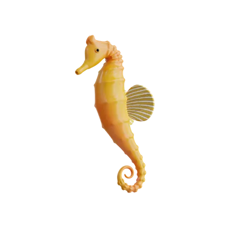 Sea Horse  3D Icon