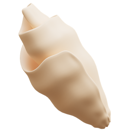 Sea Shell  3D Icon