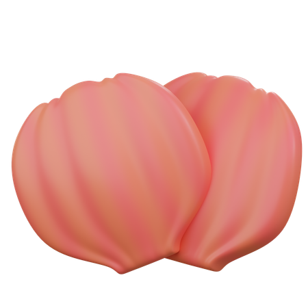 Sea Shell 2  3D Icon
