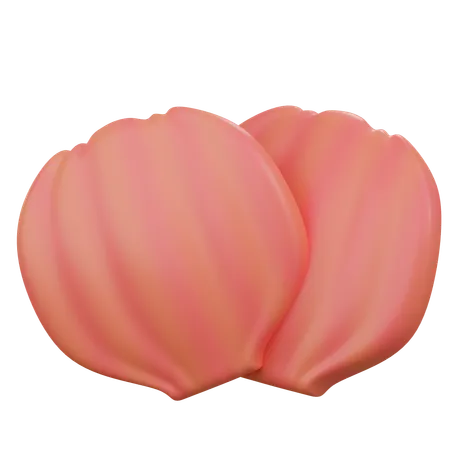Sea Shell 2  3D Icon