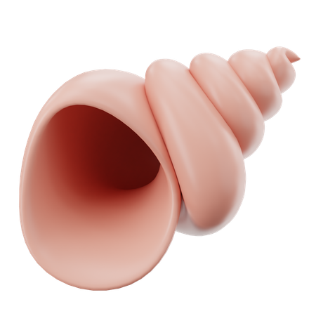 Sea Shell  3D Icon