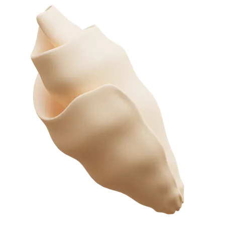 Sea Shell  3D Icon