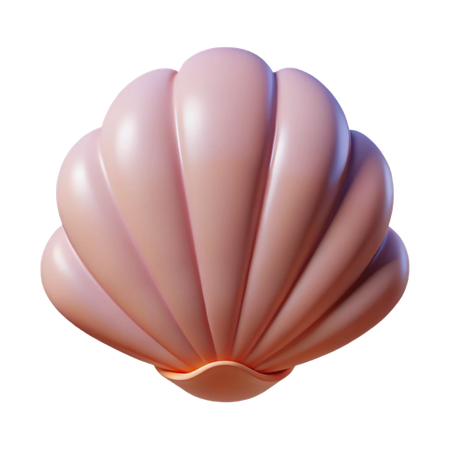 Sea shell  3D Icon