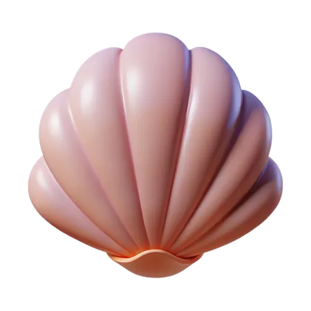Sea shell  3D Icon