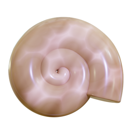 Sea Shell  3D Icon