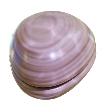 Sea Shell  3D Icon