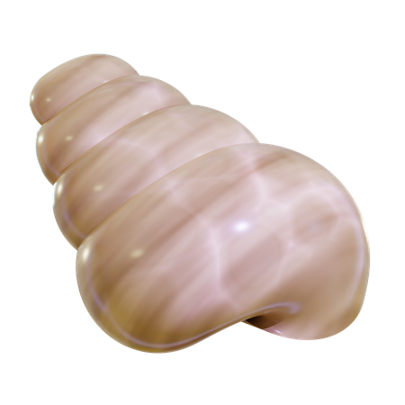 Sea Shell  3D Icon