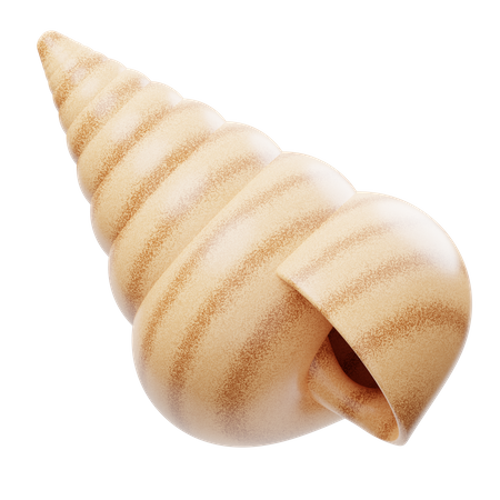 Sea Shell  3D Icon