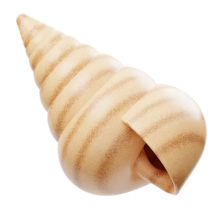 Sea Shell  3D Icon