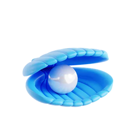 Sea shell  3D Icon