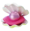 SEA SHELL