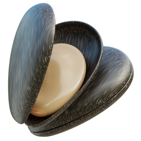 Sea ​​shells  3D Icon