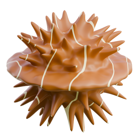 Sea Urchin  3D Icon