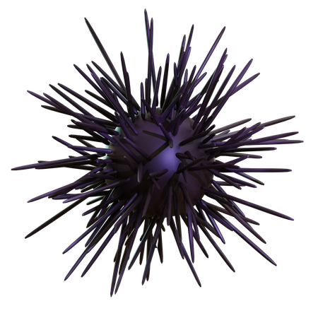 Sea Urchin  3D Icon