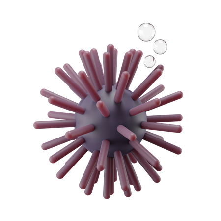 Sea Urchin  3D Illustration