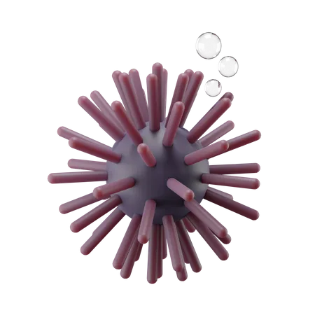 Sea Urchin  3D Illustration