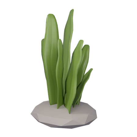 Sea Weed  3D Icon