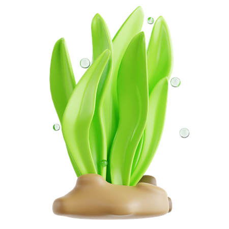 Seagrass  3D Icon