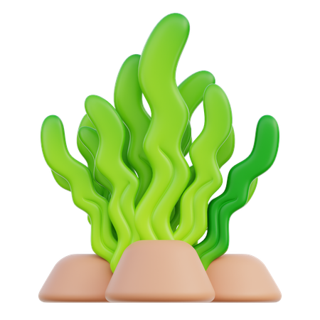 Seagrass  3D Icon