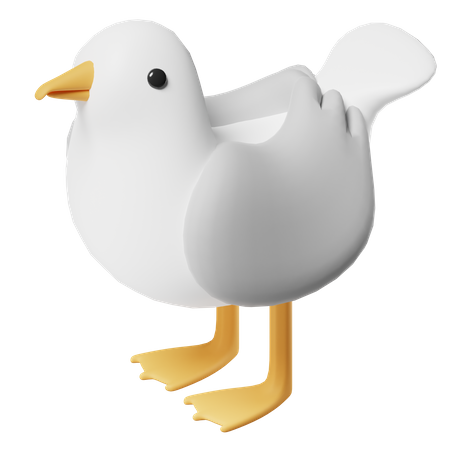 Seagull  3D Icon