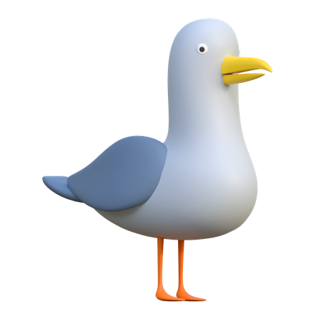 Seagull  3D Icon