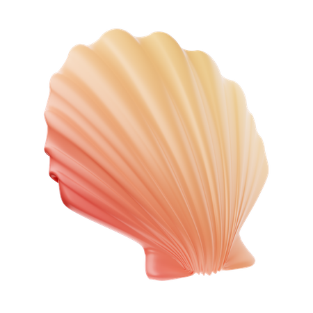 Seashell  3D Icon