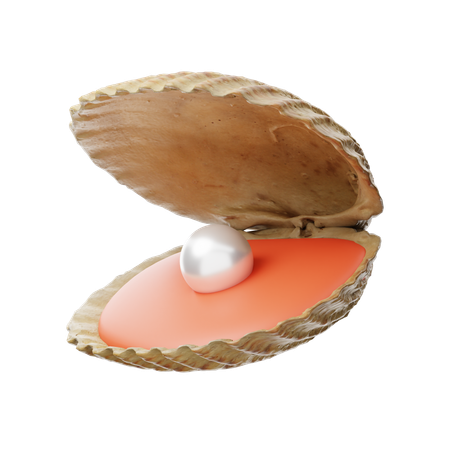 Seashell  3D Icon