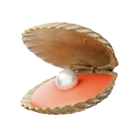 Seashell  3D Icon