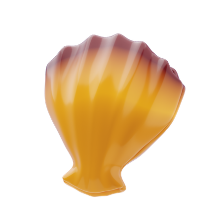 Seashell  3D Icon
