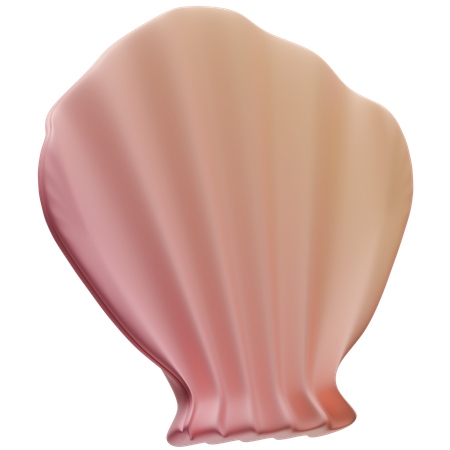 Seashell  3D Icon