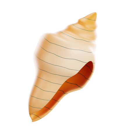 Seashell  3D Icon