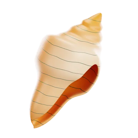 Seashell  3D Icon